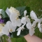 bouquet de mariée 